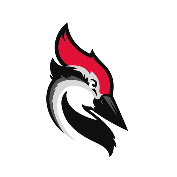 Woodpecker