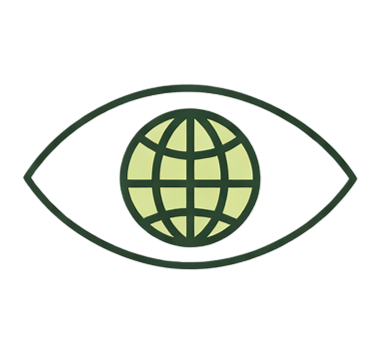 Vision
